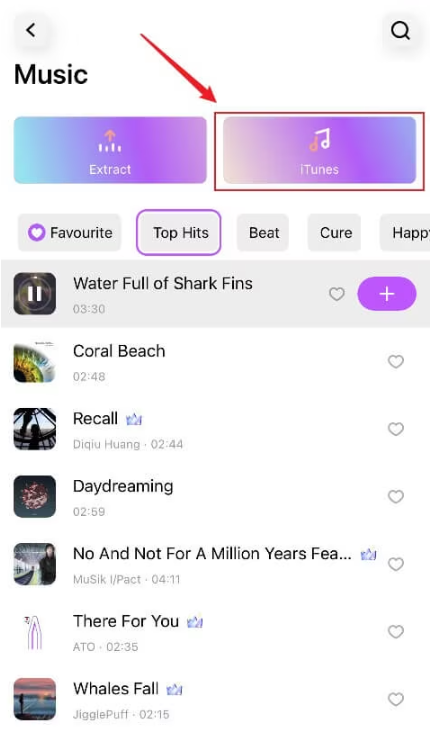 SOLTEFY | Music SOLTEFY | Music
